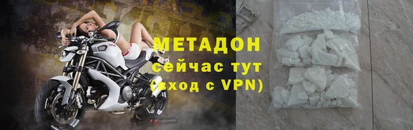 индика Белокуриха