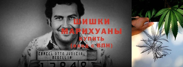 индика Белокуриха