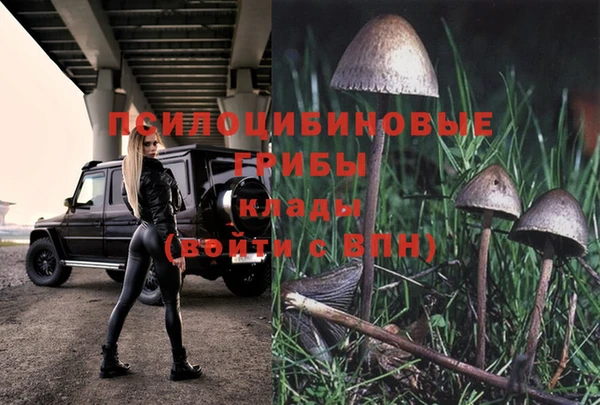 герыч Баксан