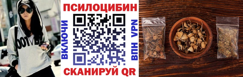 цена наркотик Салаир Галлюциногенные грибы Psilocybe